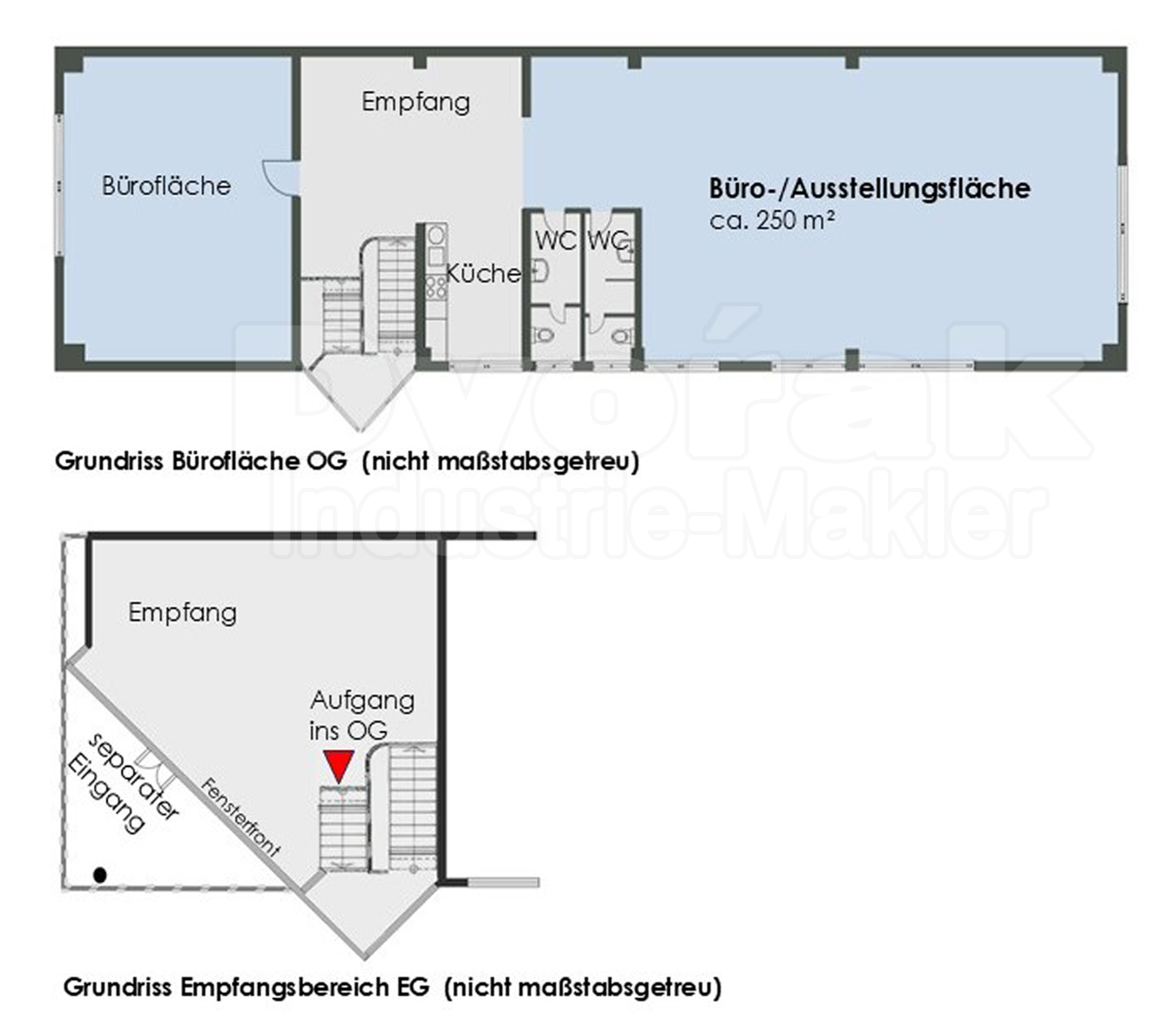 Bild 4 Grundriss 1. OG + Empfang EG