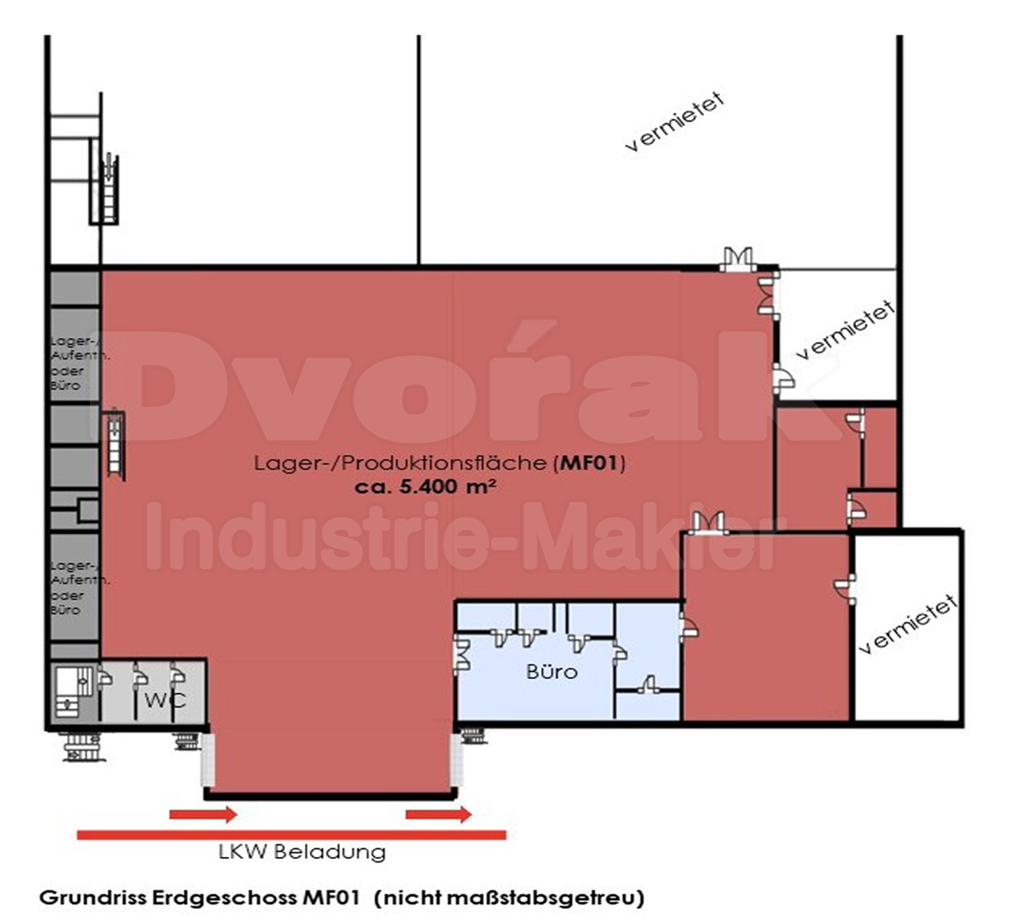 Bild 4 Grundriss EG, Halle_MF01