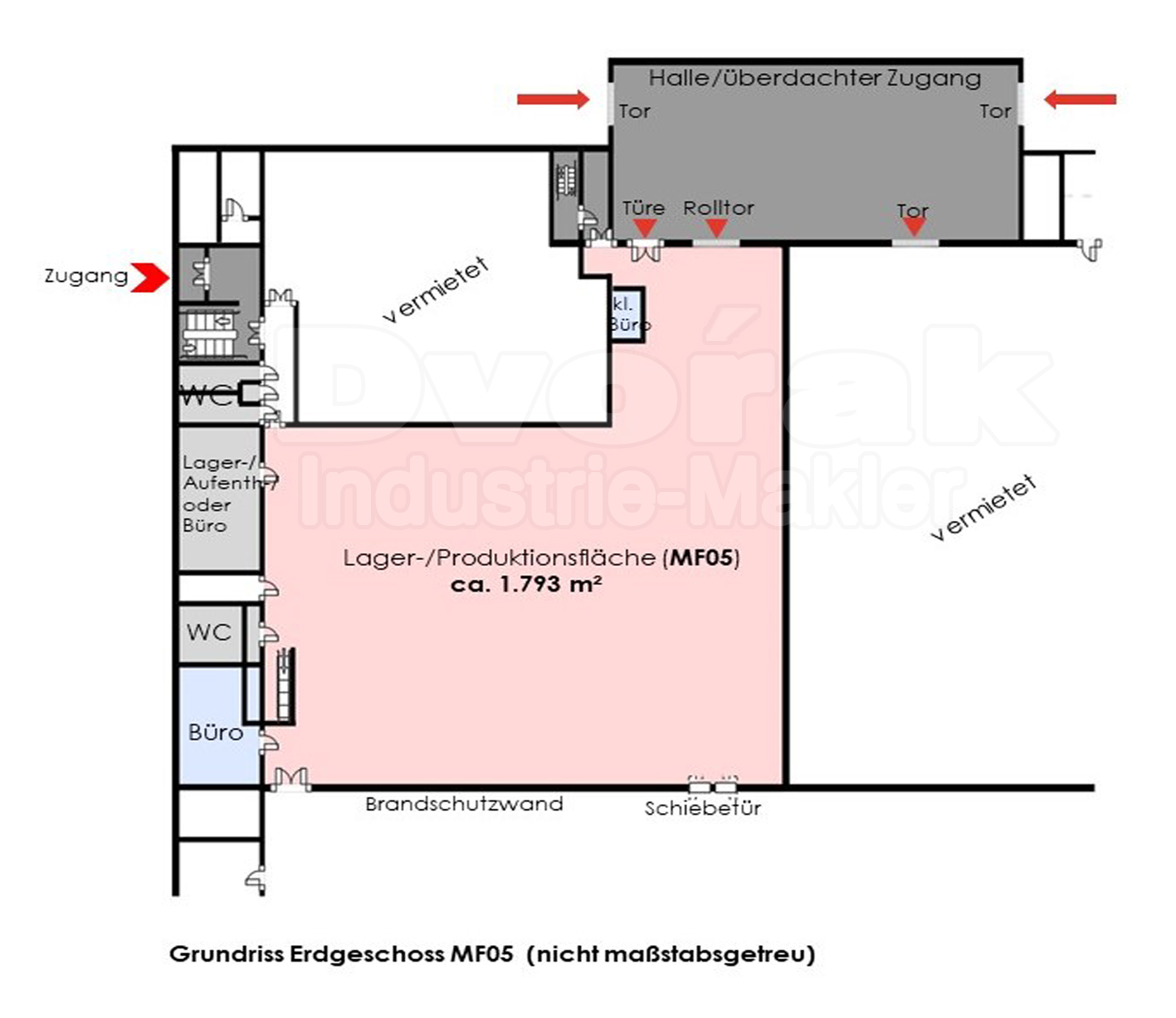 Bild 4 Grundriss EG, Halle_MF05